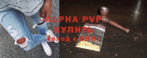 СК Алексин