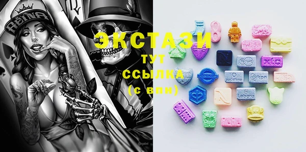 СК Алексин
