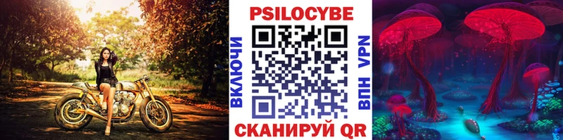 блэк спрут онион  Артёмовский  Псилоцибиновые грибы GOLDEN TEACHER 